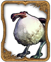 Dodo