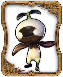 Mandragora