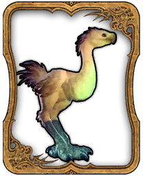 Chocobo