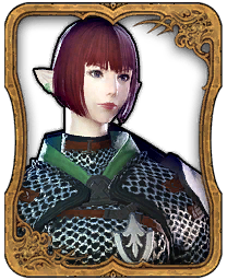 Laniaitte de Haillenarte
