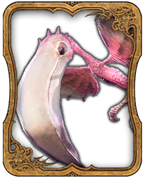 Colibri