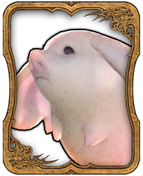 Quiexie
