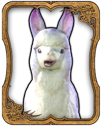 Alpaka