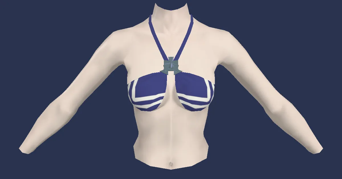 3D-Ansicht von Blaues Bikinitop
