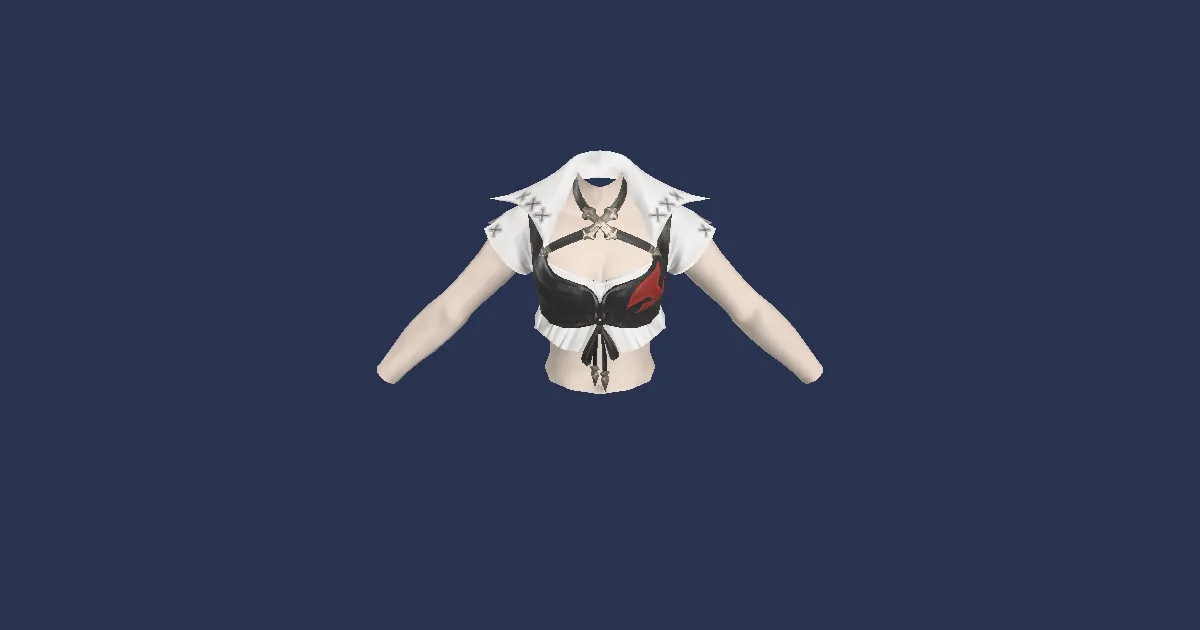 Rendu 3D de Corselet roegadyn