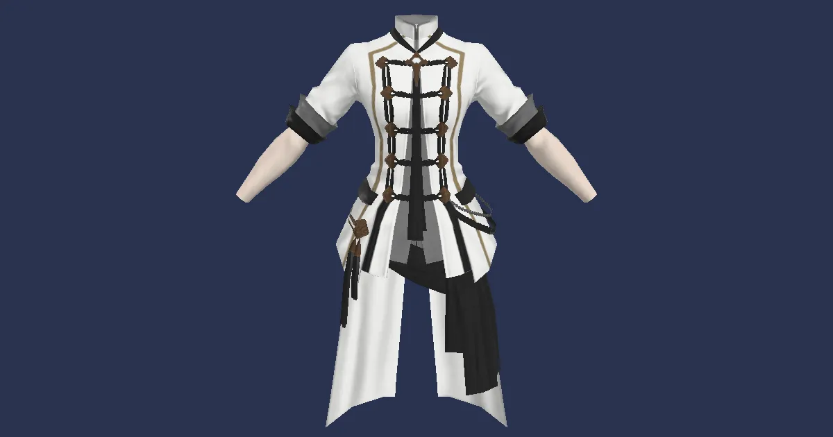 Royal Seneschal's Coat - 3D render