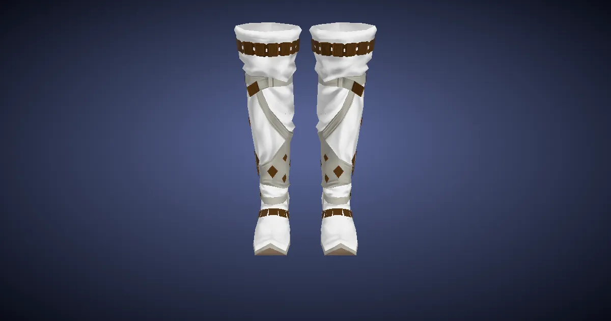 Rendu 3D de Bottes de soigneur en cuir de wyverne