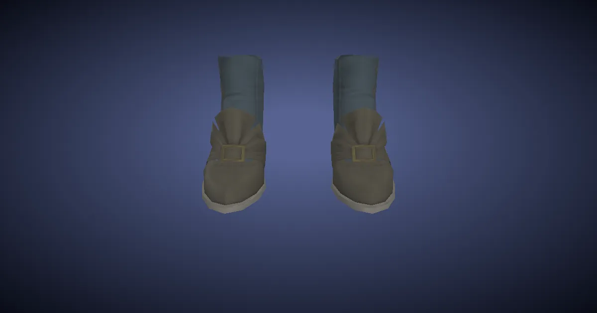 3D-Ansicht von Gamaschenschuhe