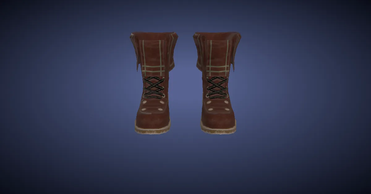 Rendu 3D de Bottes des ressources en cuir de br'aax