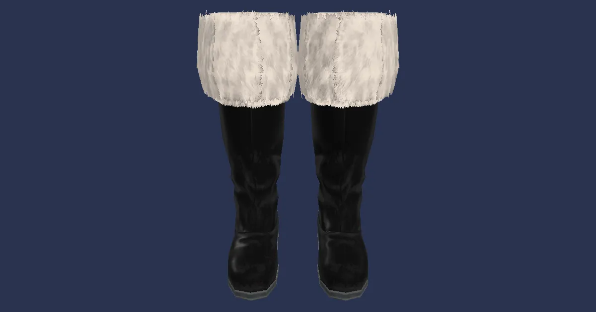 3D-Ansicht von Heiligen-Stiefel