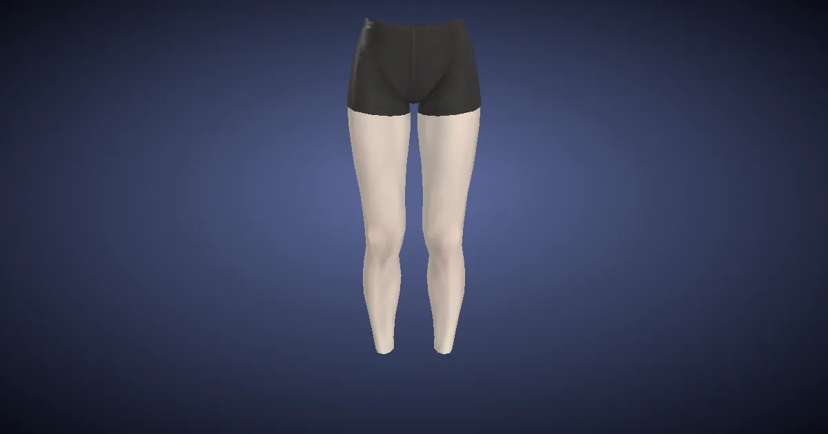 Lady's Knickers (Black) - 3D render