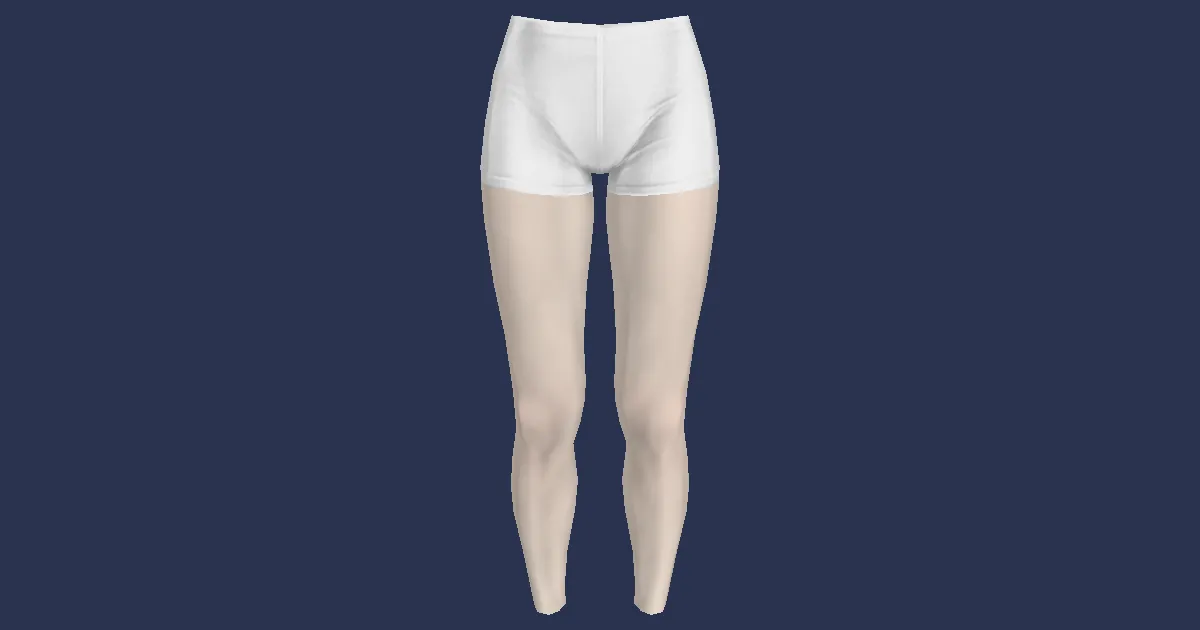 Lady's Knickers (White) - 3D render