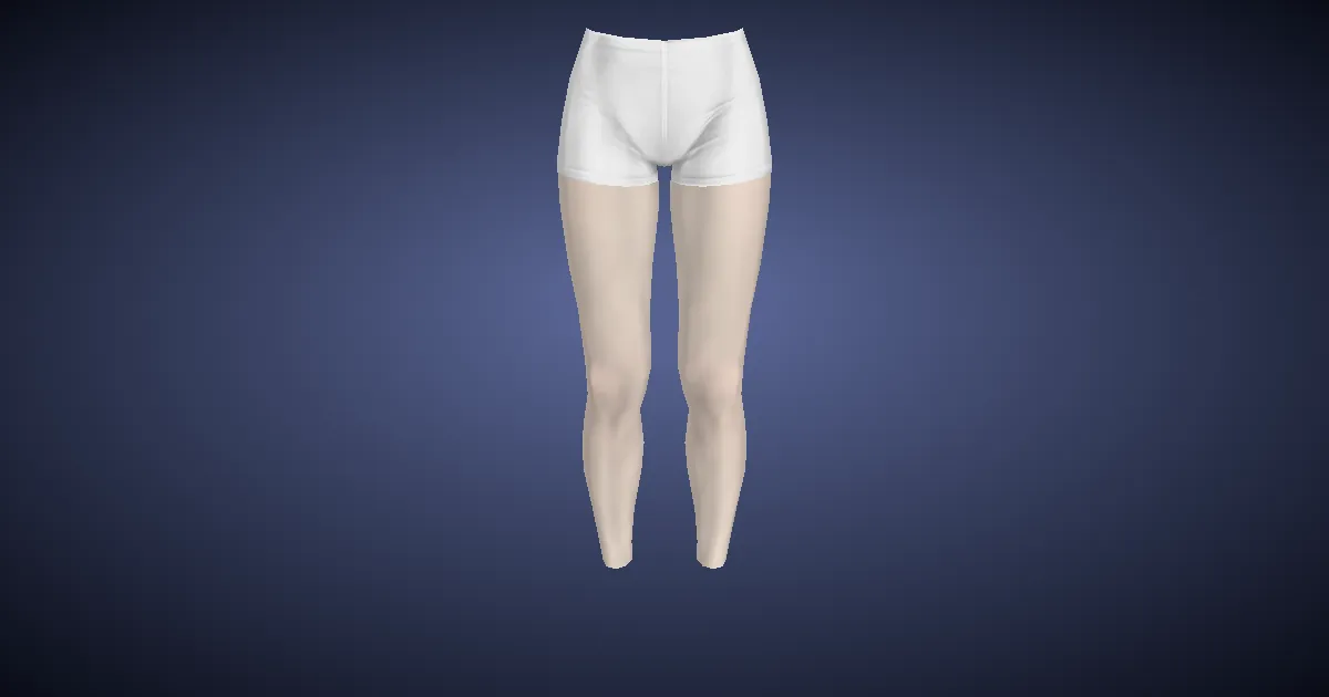Lady's Knickers (White) - 3D render
