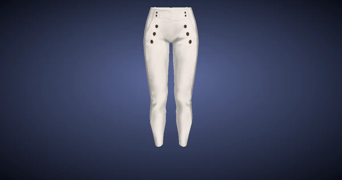 Field Commander's Slops - 3D render