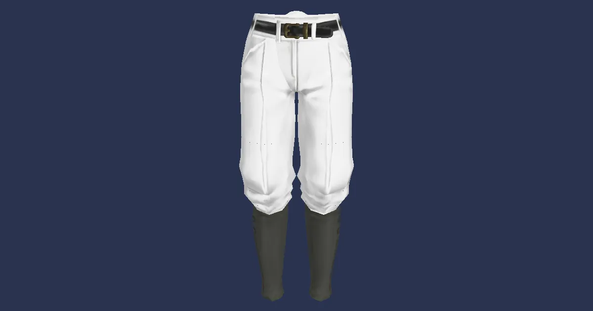 Snow Cotton Breeches - 3D render