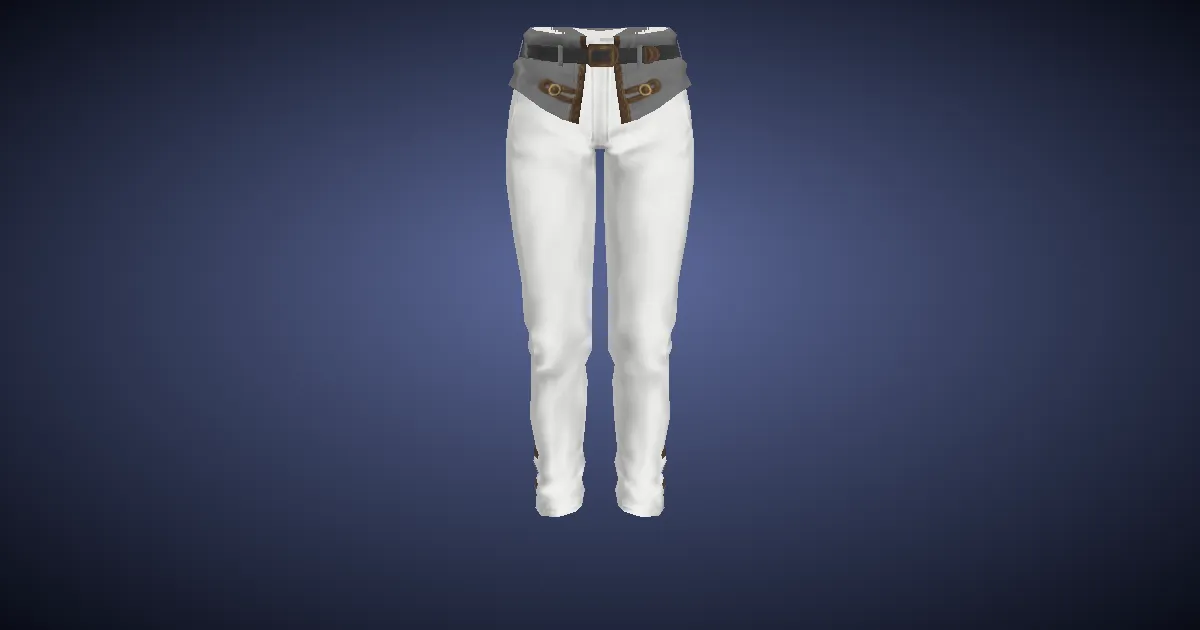 Royal Seneschal's Breeches - 3D render