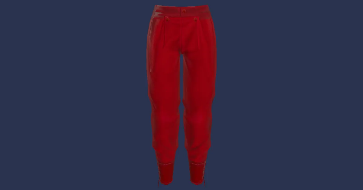 3D-Ansicht von Heiligen-Hose