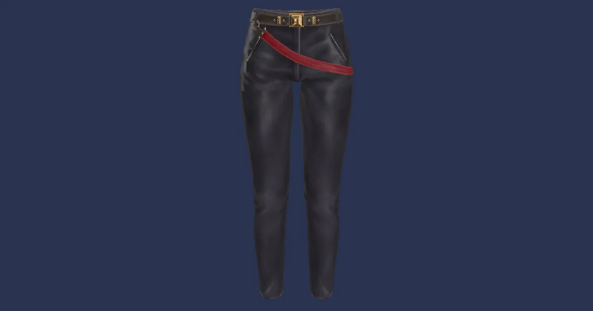 Seneschal Prince's Trousers - 3D render