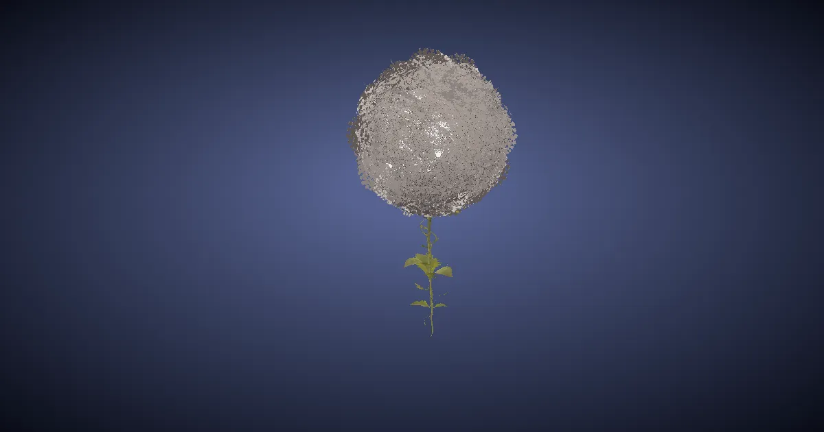 Cloud mallow in 3D