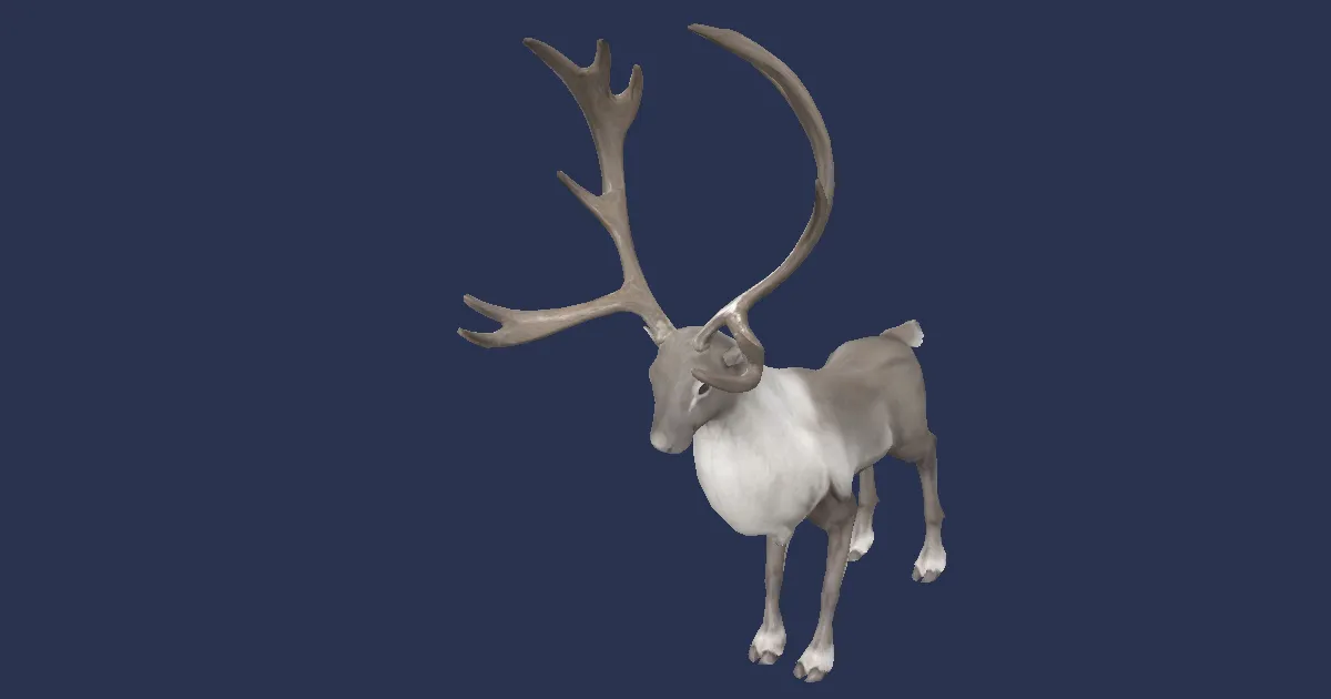 Starlight steed in 3D