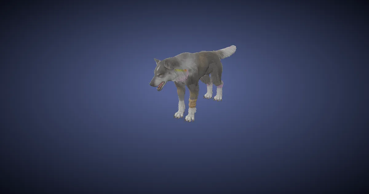 Torgal in 3D