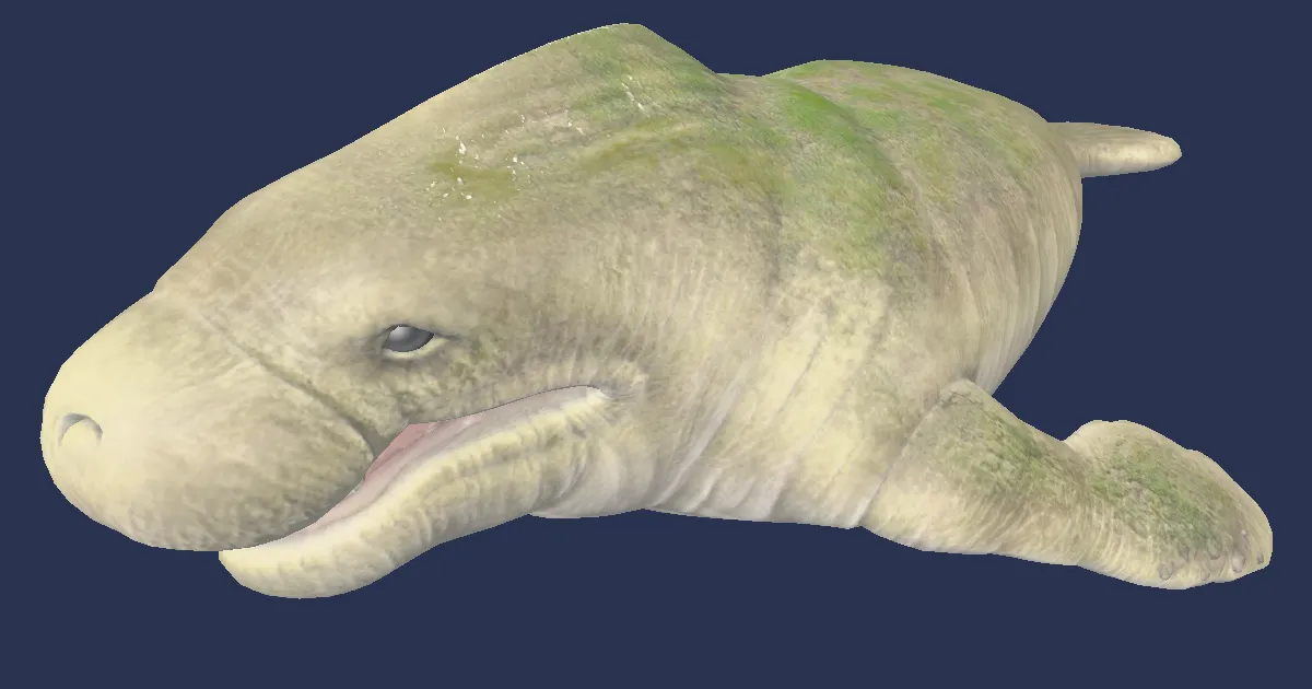 Punutiy in 3D