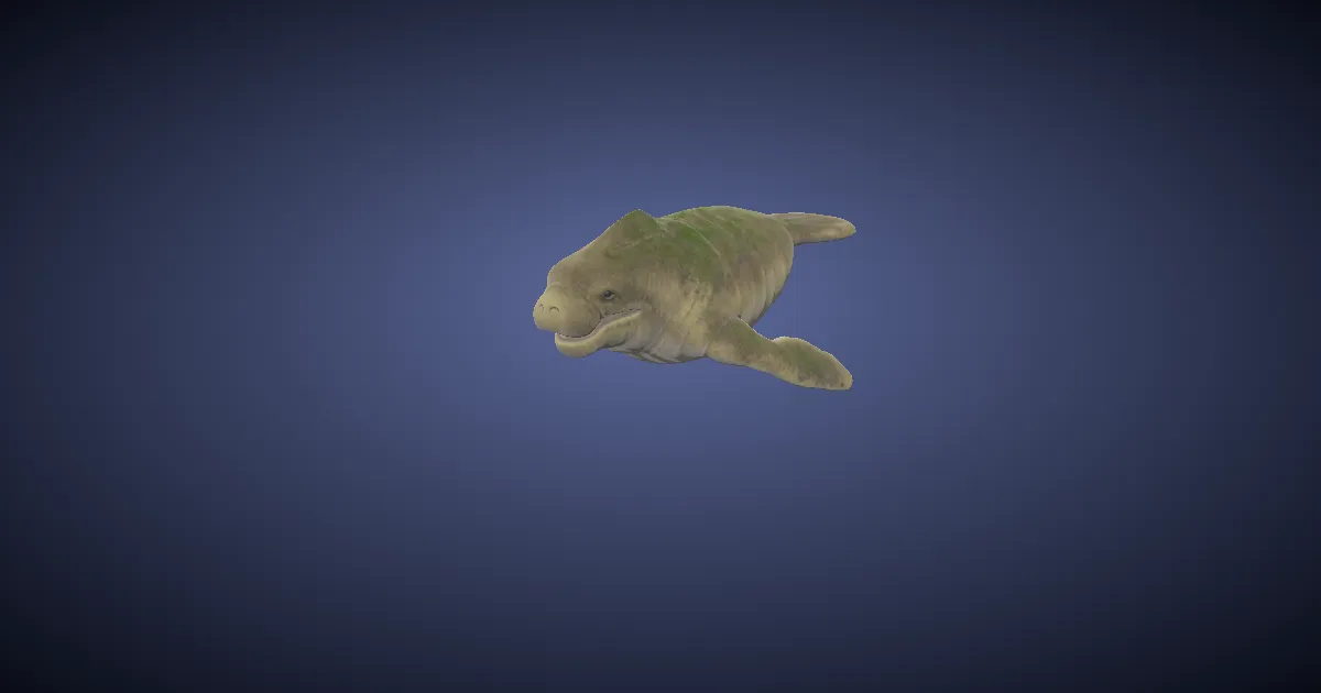 Punutiy in 3D