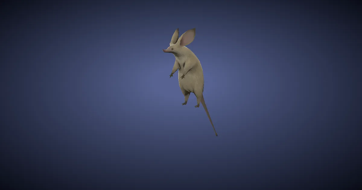 Tiny rat in 3D