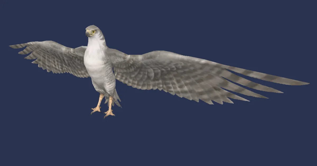 Jagdfalke in 3D