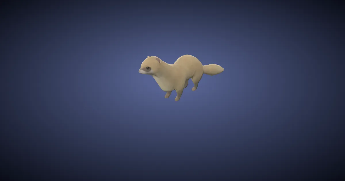White whittret in 3D