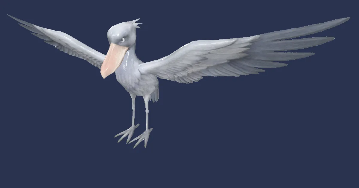 Shoebill in 3D
