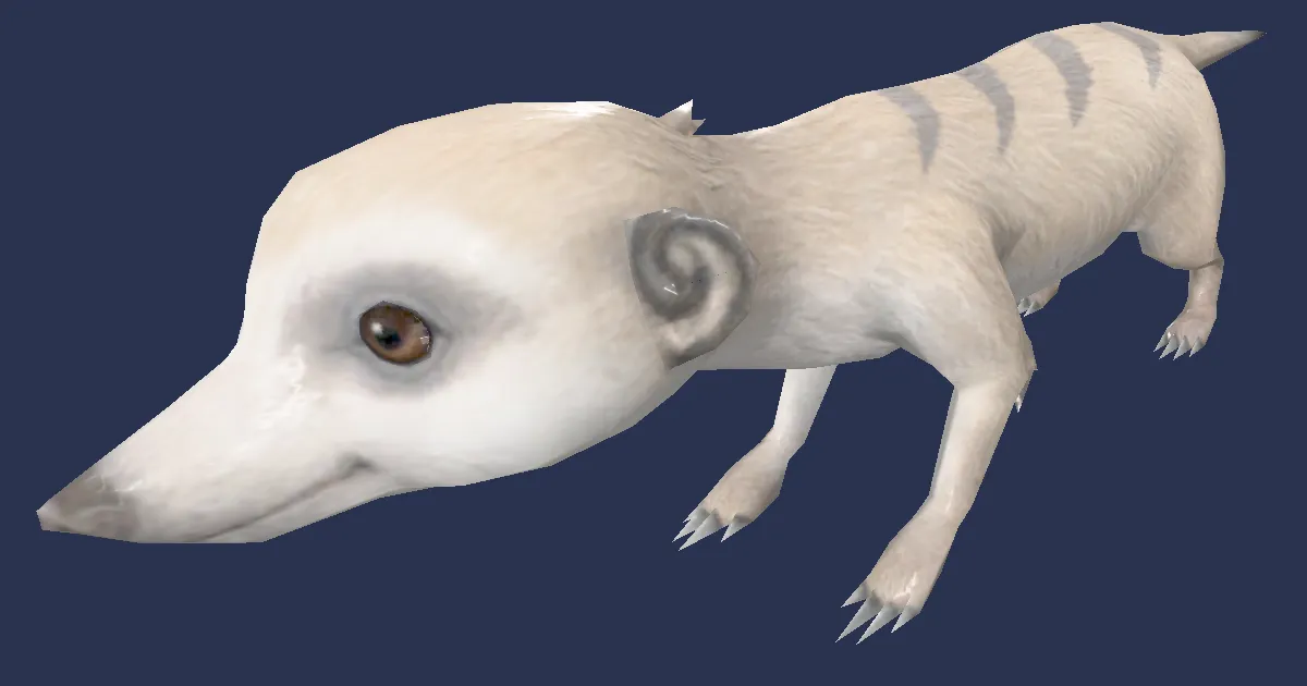 Meerkat in 3D