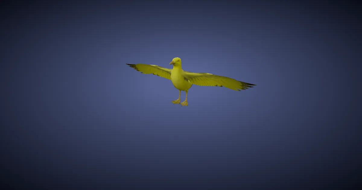 Gull in 3D