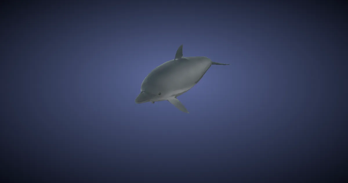 Bébé dauphin en 3D