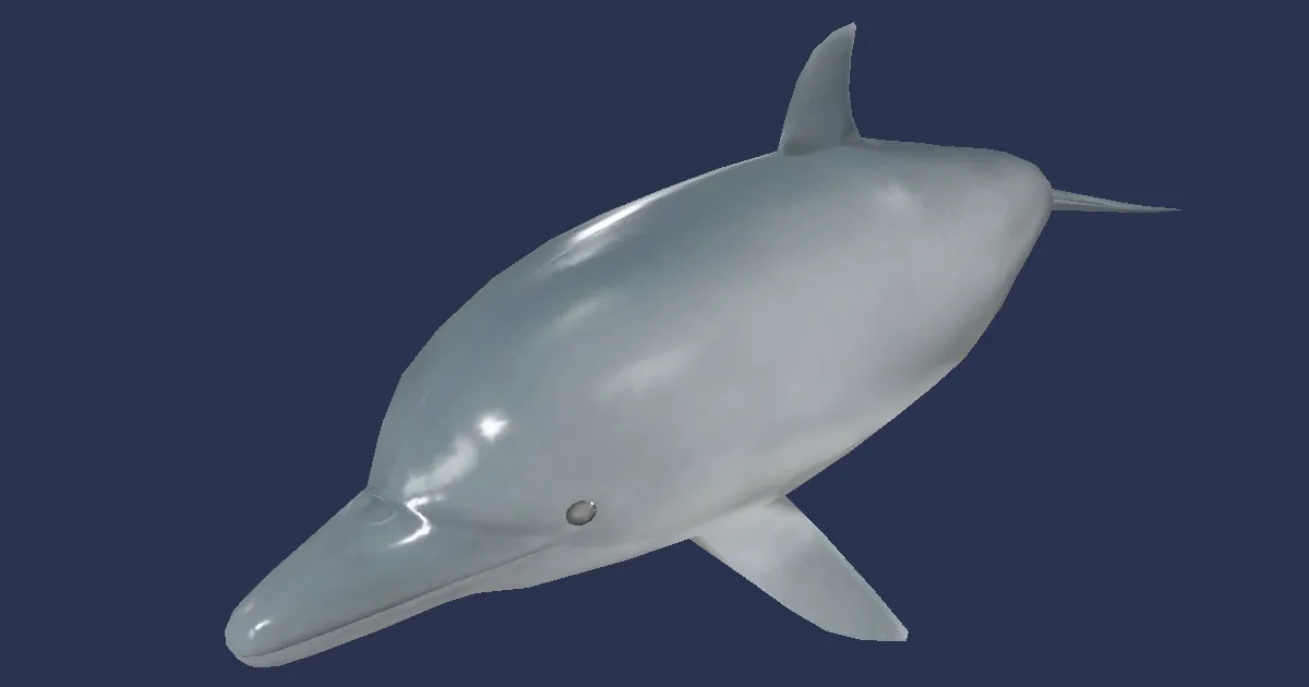 Dolphin calf in 3D