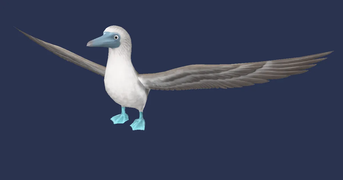 Blue-footed booby in 3D