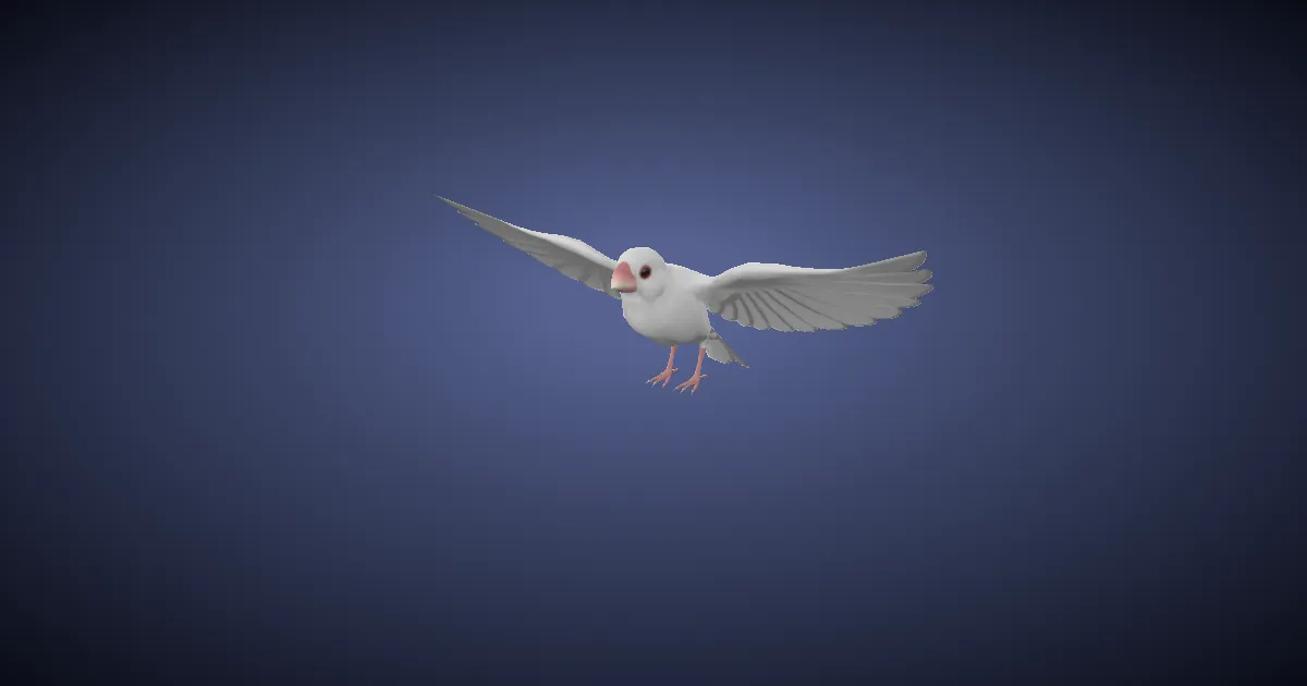 Skallic uolosapa in 3D