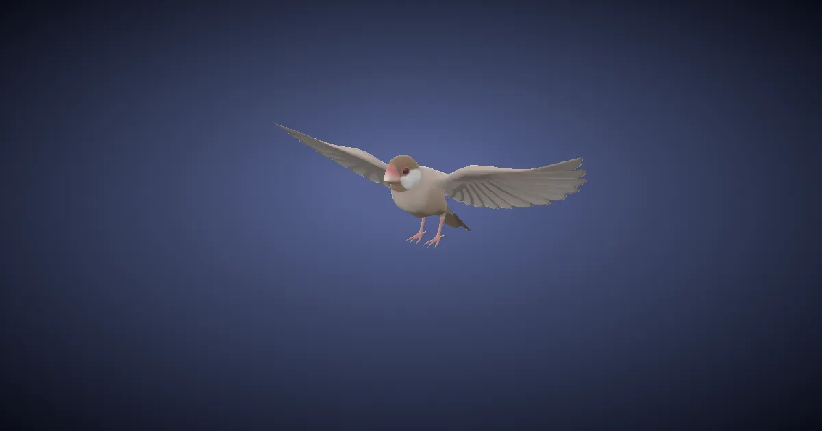 Nym-Uolosapa in 3D