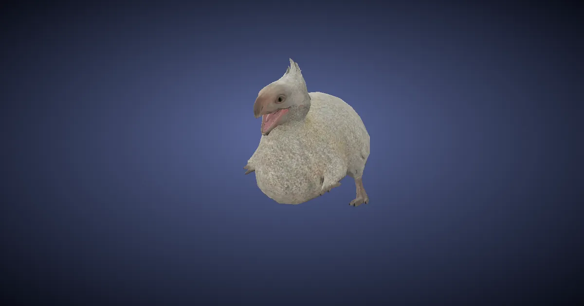 Seikret fledgling in 3D