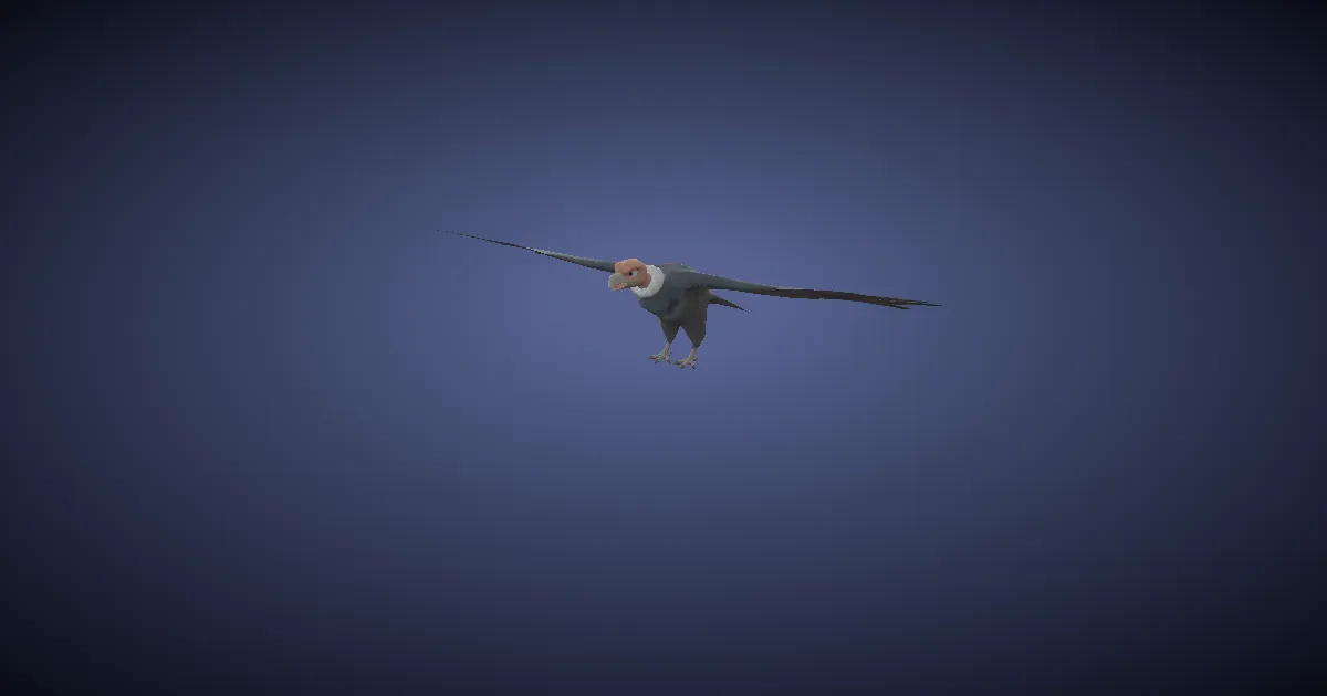 Nebelkondor in 3D