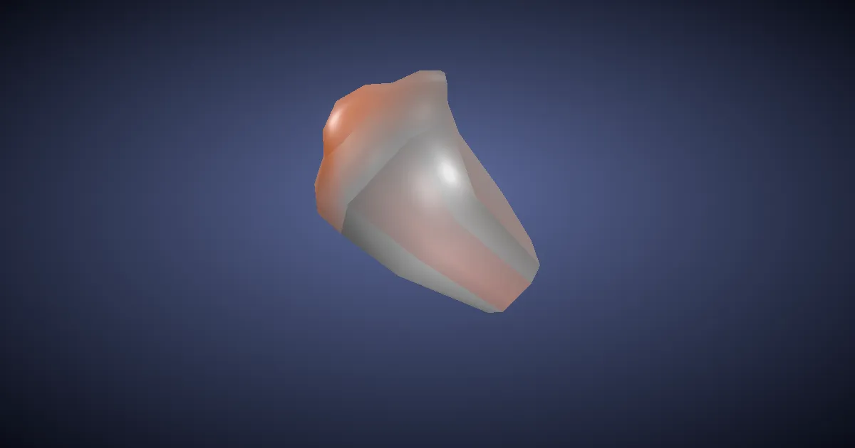 3D-Ansicht von Meteor-Gedenk-Ring