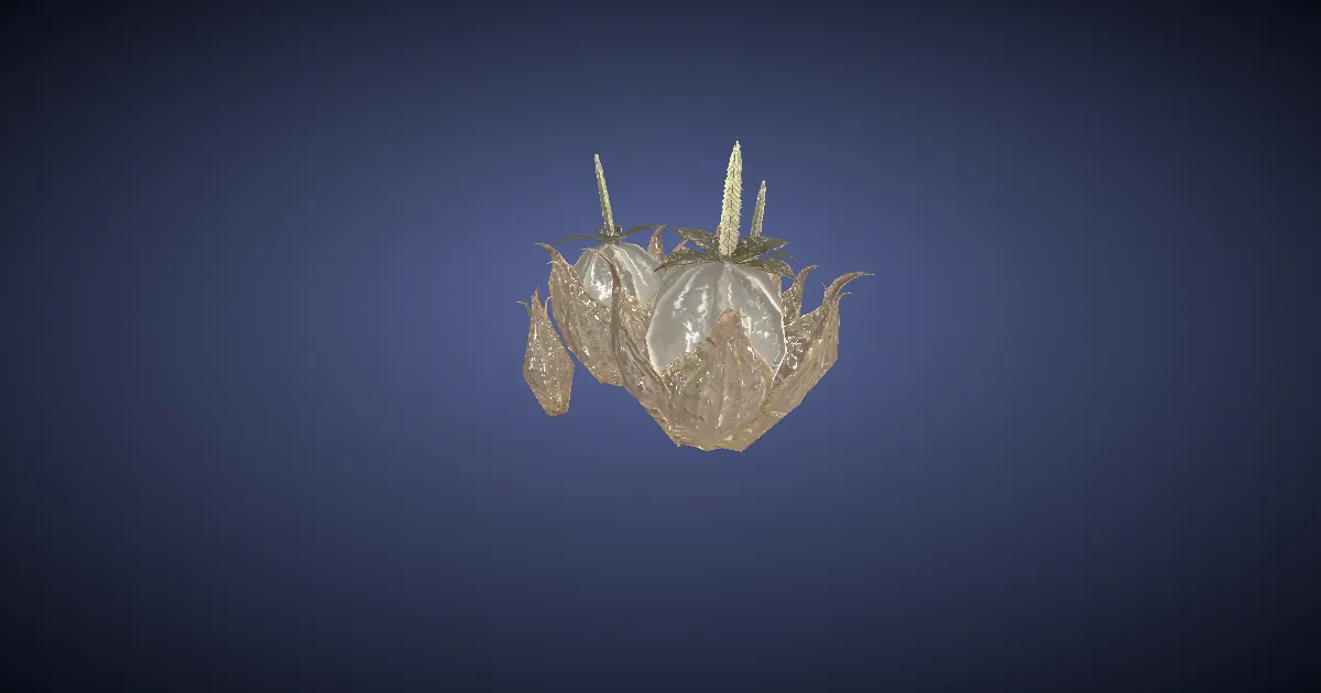 3D-Ansicht von Lampiongras